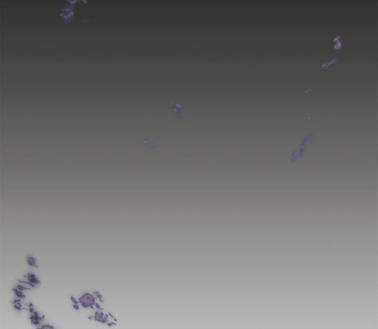 How to Tame The Merciless Villain - Chapter 10 54