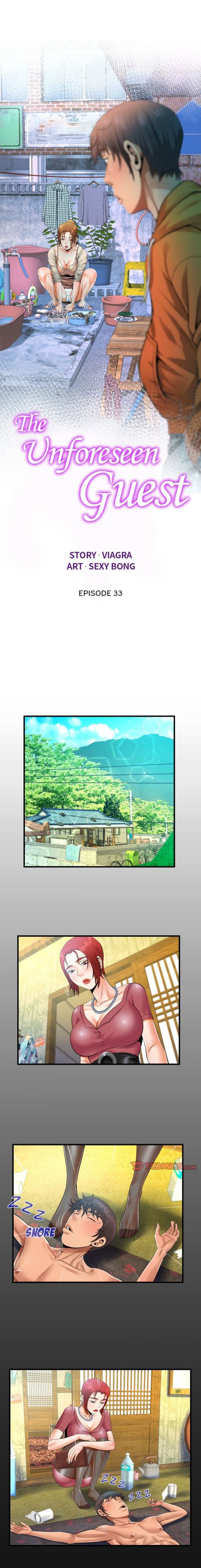 The Unforeseen Guest - Chapter 33 3