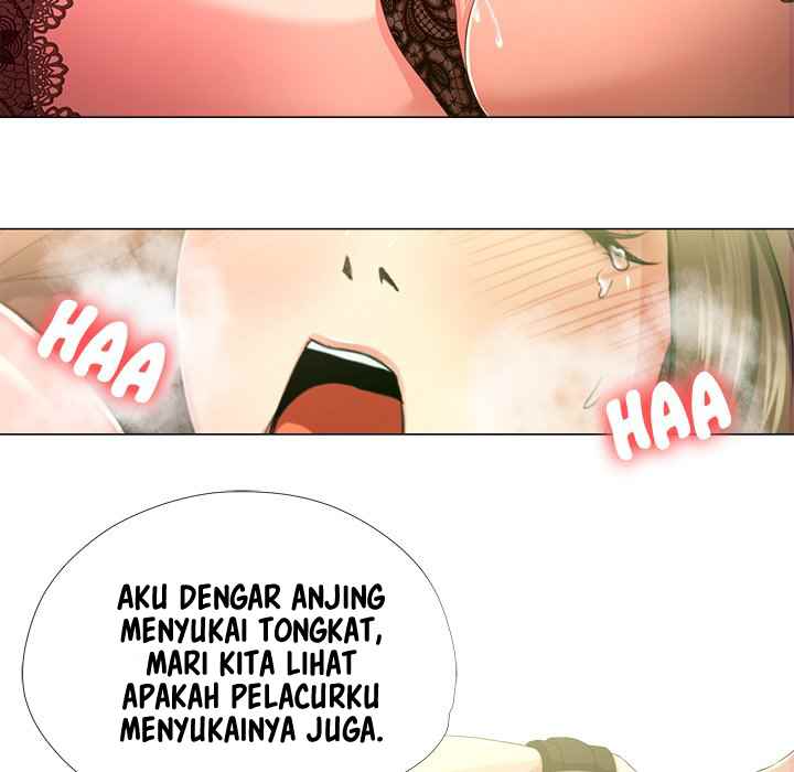 Cat Fight - Chapter 17 25
