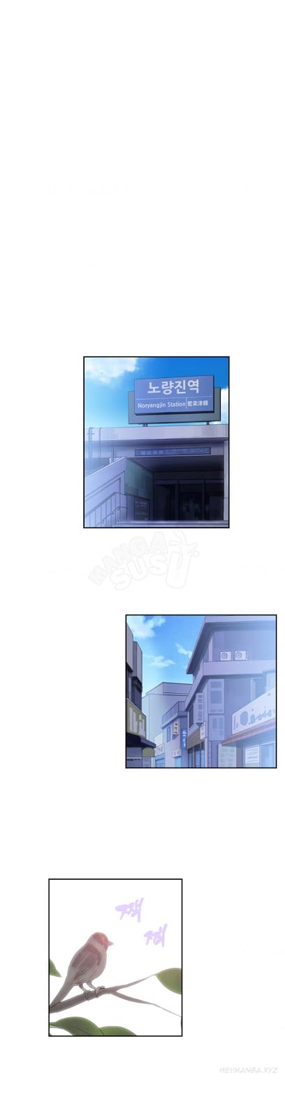 SStudy - Chapter 50 17