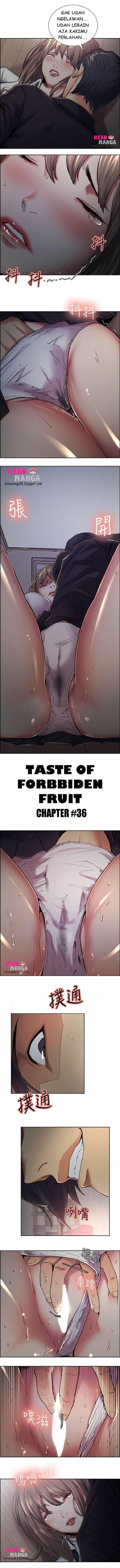 Taste of Forbidden Fruit - Chapter 36 1