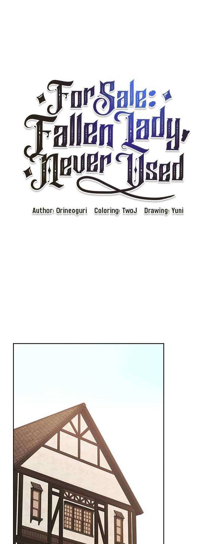 For Sale: Fallen Lady, Never Used - Chapter 42 28