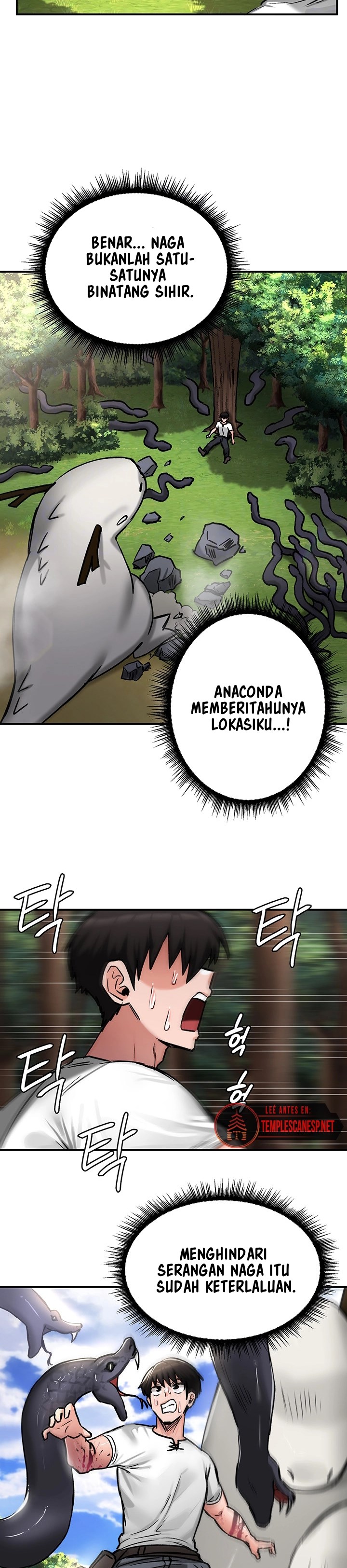 Regressed Warrior’s Female Dominance - Chapter 44 5 Regressed Warrior’s Female Dominance - Chapter 44 5