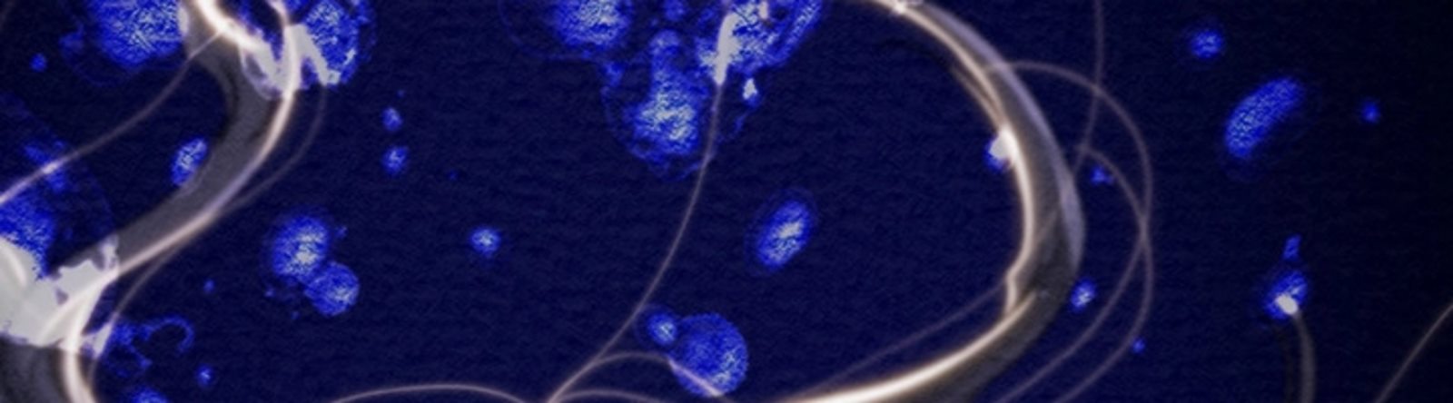 The Man Who Devours - Chapter 47 60 The Man Who Devours - Chapter 47 60