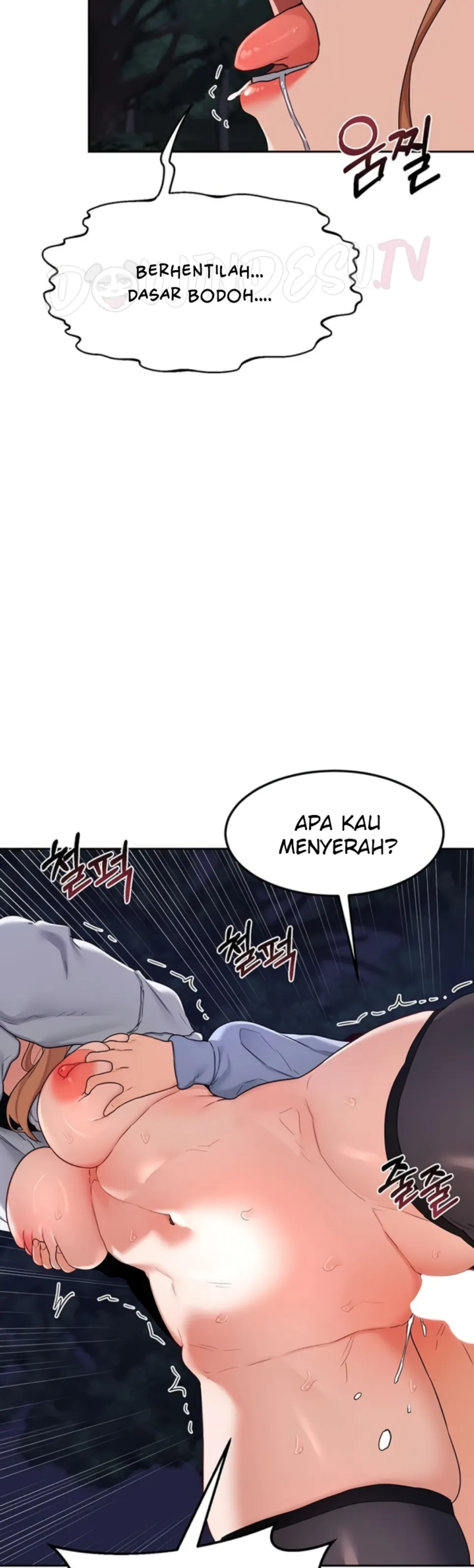 MILF Exchange Plan - Chapter 27 21